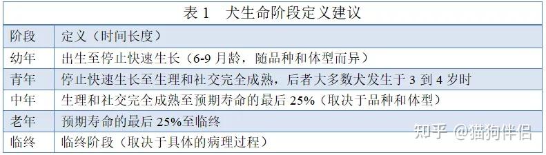 幼犬初次洗澡的注意事项_幼犬狗粮选择指南_幼犬营养需求分析