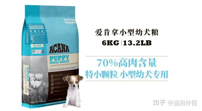 幼犬狗粮选择指南_幼犬初次洗澡的注意事项_幼犬营养需求分析