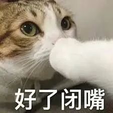 猫咪新进家体检项目_猫咪不同年龄段体检项目_猫咪粪便检测的意义