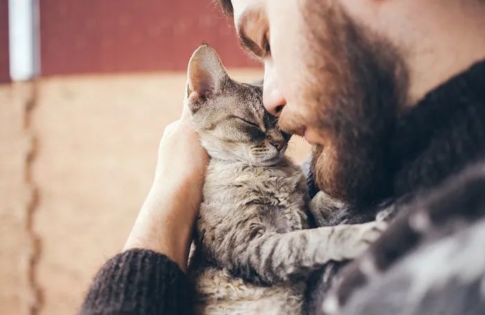 猫咪不同年龄段体检项目_猫咪新进家体检项目_猫咪粪便检测的意义