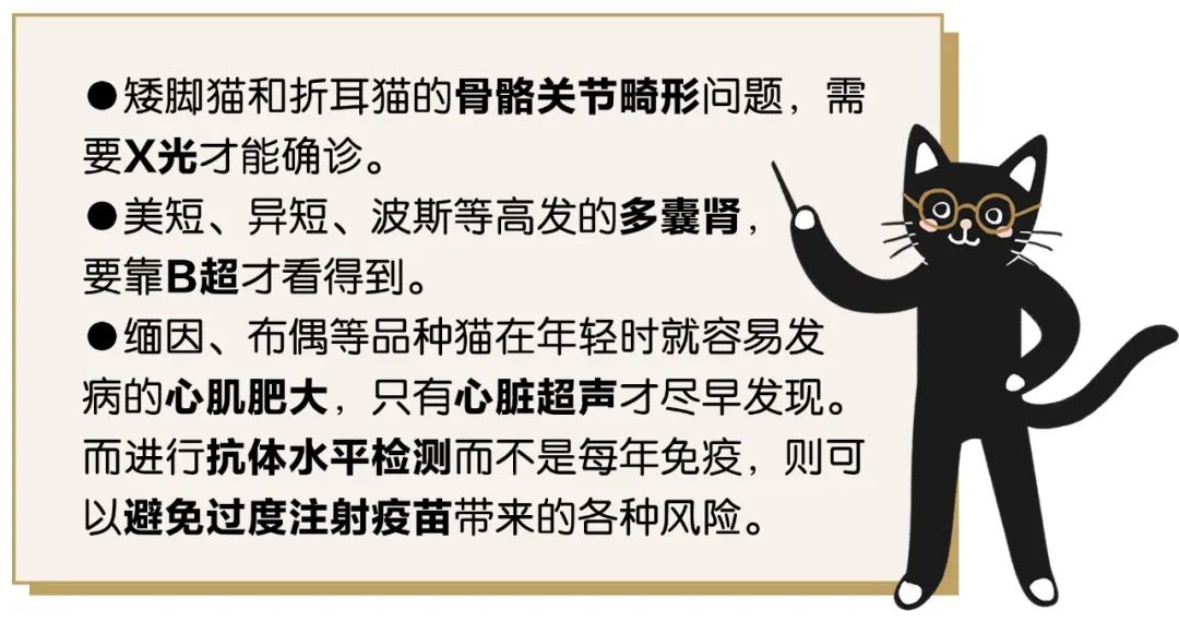 猫咪粪便检测的意义_猫咪不同年龄段体检项目_猫咪新进家体检项目