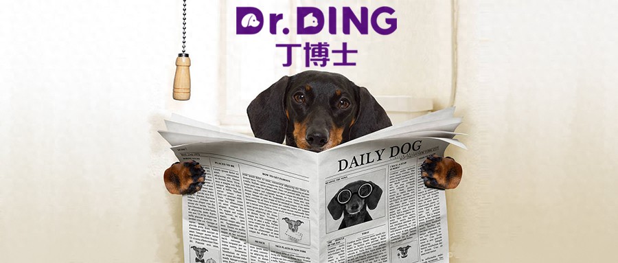 养宠常识丨犬猫肠道健康：粪便评分-派特超人-宠物