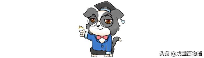 狗狗的防暑消暑，你都做到位了吗？-派特超人-宠物