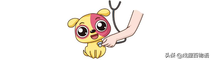 狗狗中暑症状_狗狗喜欢趴地板？降温需求和腹痛_狗狗夏季防暑攻略