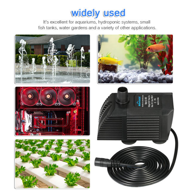 鱼缸底部过滤的利与弊及处理方法-派特超人-宠物