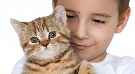 小朋友爱拽猫尾巴，猫咪急了挠人咋办？3招教你放心养-派特超人-宠物