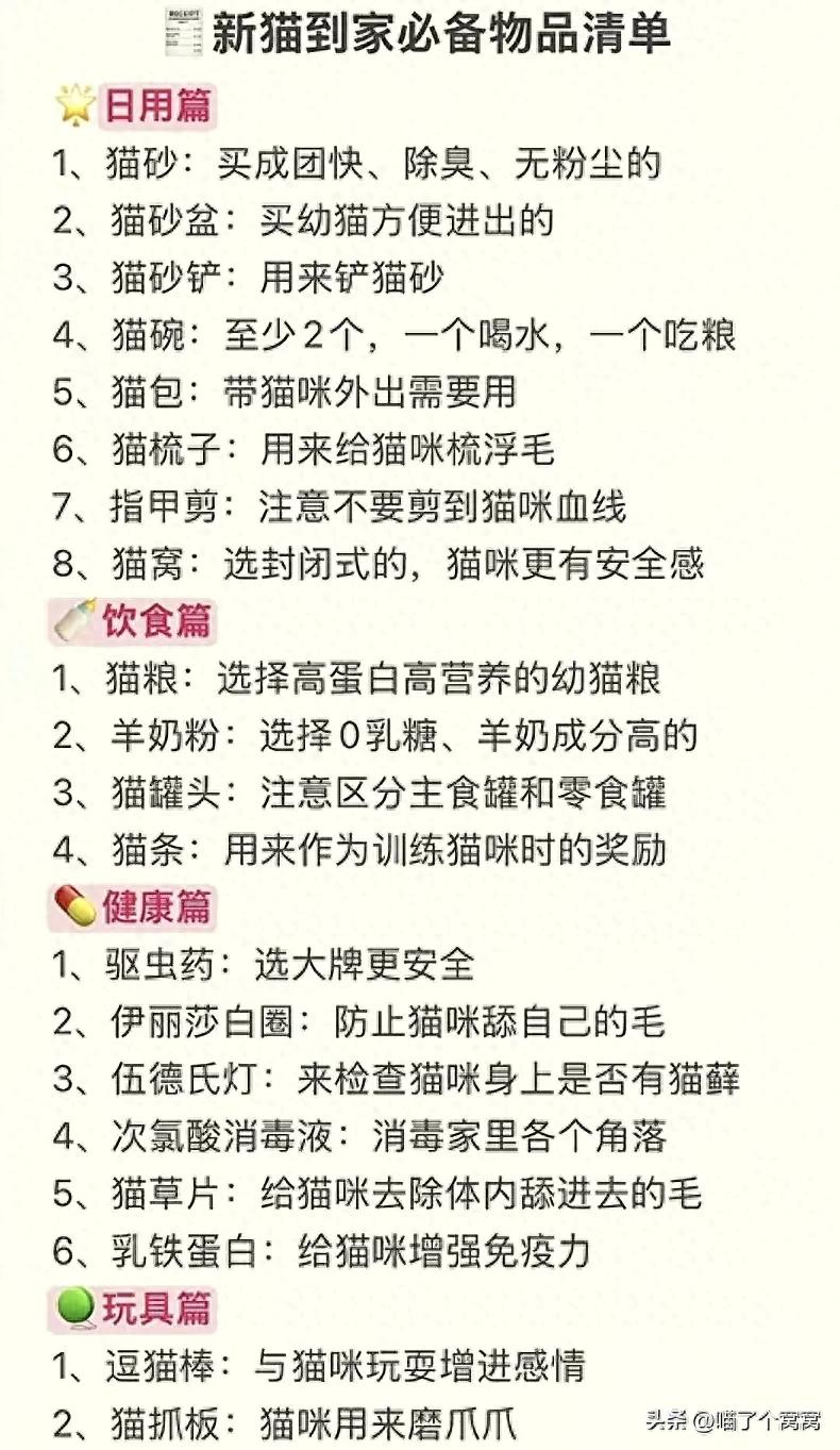 新手养猫必看！手把手教你接回健康粘人小天使，看了绝不后悔-派特超人-宠物