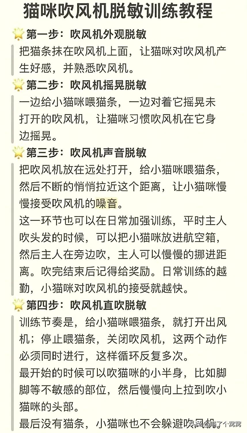 猫咪刷牙的循序渐进训练法_新猫到家必备用品_科学养猫攻略