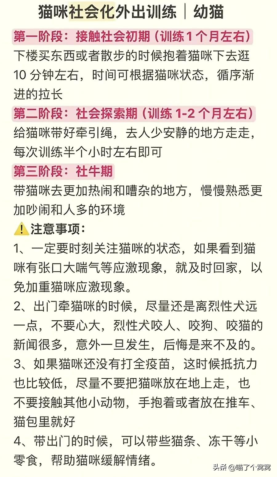 科学养猫攻略_猫咪刷牙的循序渐进训练法_新猫到家必备用品