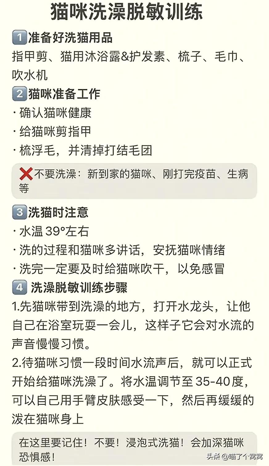 新猫到家必备用品_科学养猫攻略_猫咪刷牙的循序渐进训练法