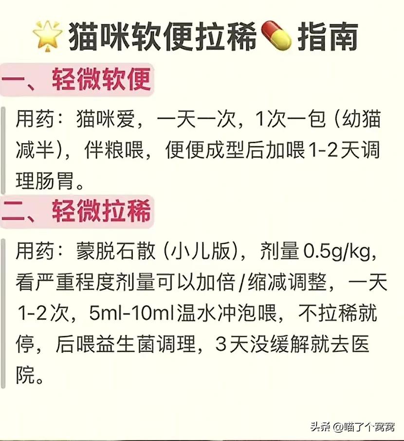 科学养猫攻略_新猫到家必备用品_猫咪刷牙的循序渐进训练法