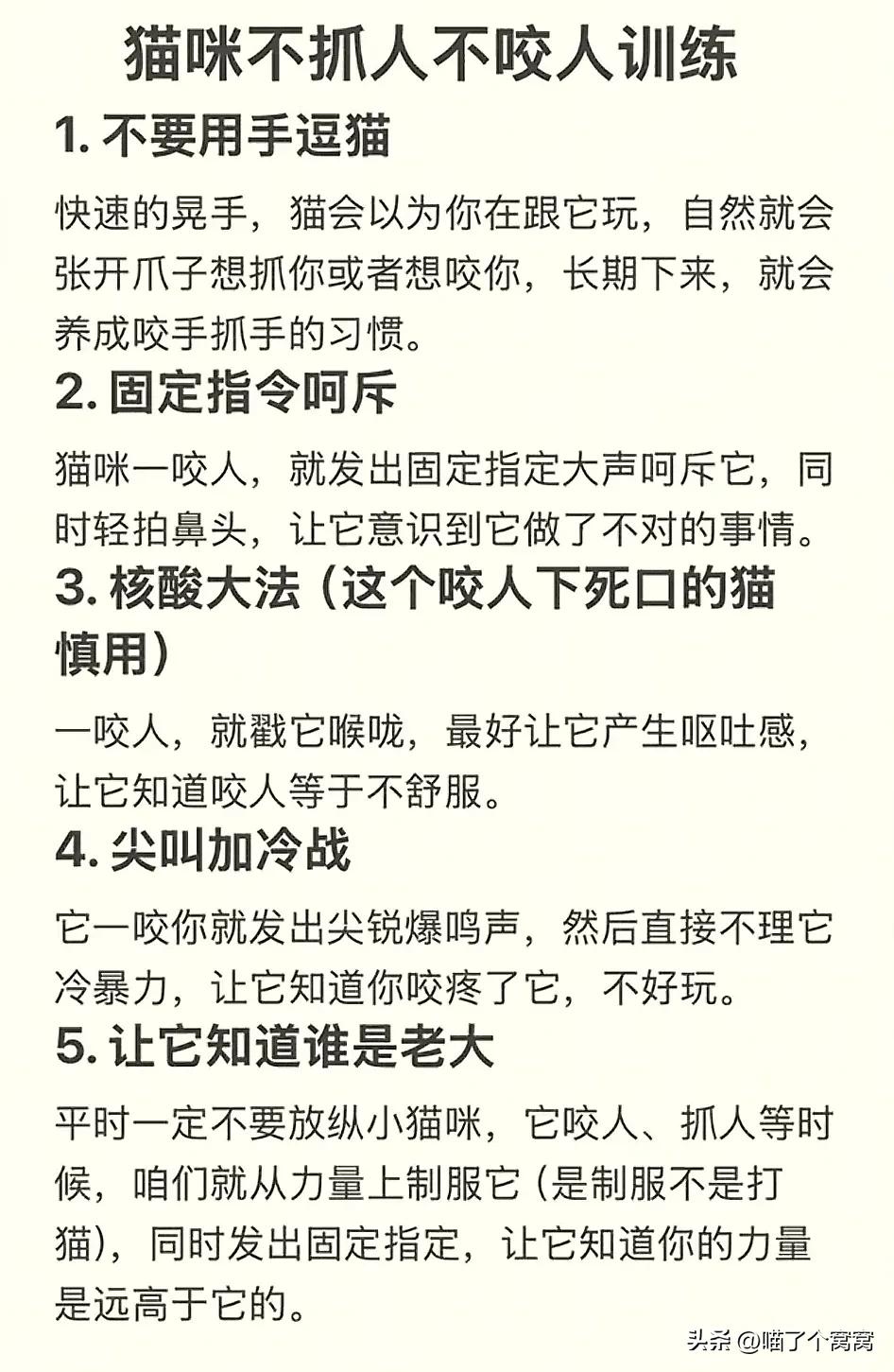 新猫到家必备用品_猫咪刷牙的循序渐进训练法_科学养猫攻略