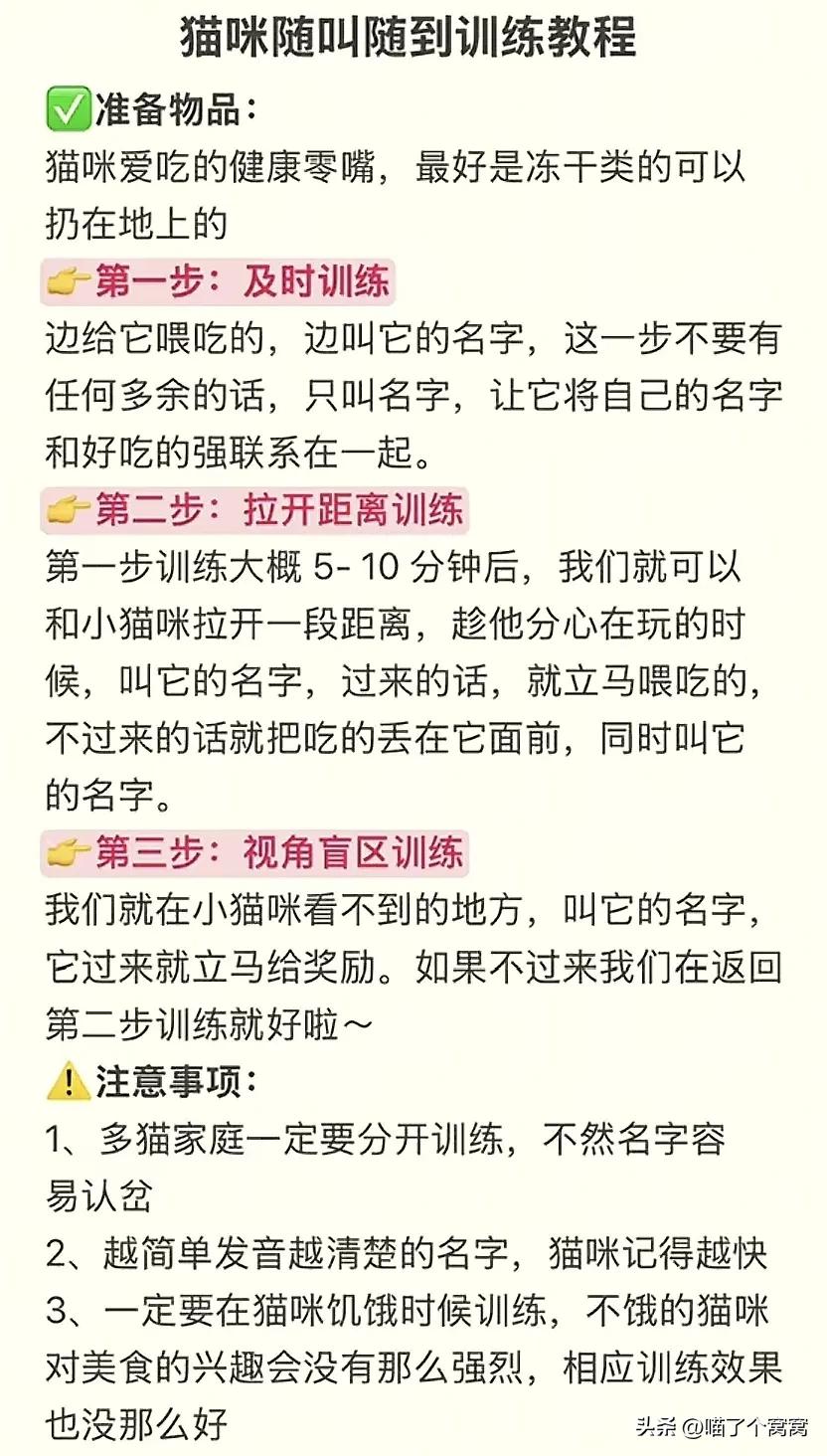 新猫到家必备用品_科学养猫攻略_猫咪刷牙的循序渐进训练法