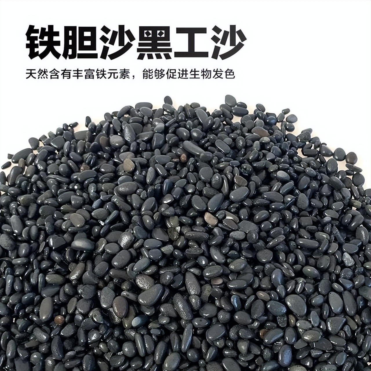 龟缸底沙对发色影响_底砂选择会直接影响水质_养龟底沙选择