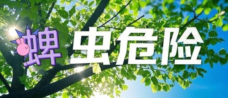 蜱虫叮咬处理方法_蜱虫病预防措施_季节性宠物寄生虫预防方案