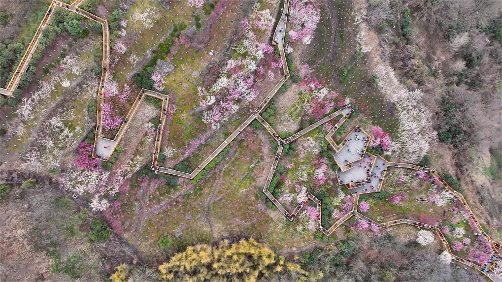 季节性宠物寄生虫预防方案_蜱虫叮咬处理方法_蜱虫病预防措施