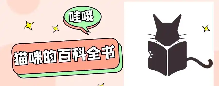 深入探究猫咪关节炎：定义、症状及护理指南-派特超人-宠物