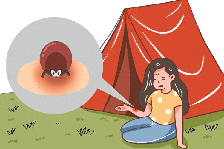 已到蜱虫活跃期，请收下这份防蜱攻略！-派特超人-宠物