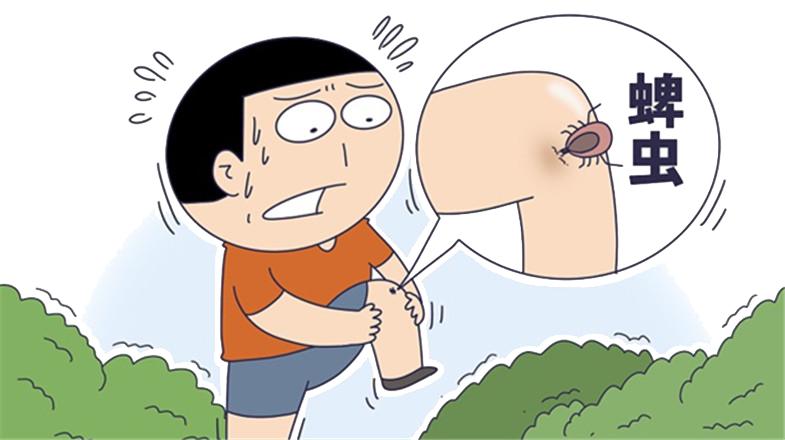 季节性宠物寄生虫预防方案_蜱虫叮咬危害及处理方法_蜱虫活动高峰期预防措施