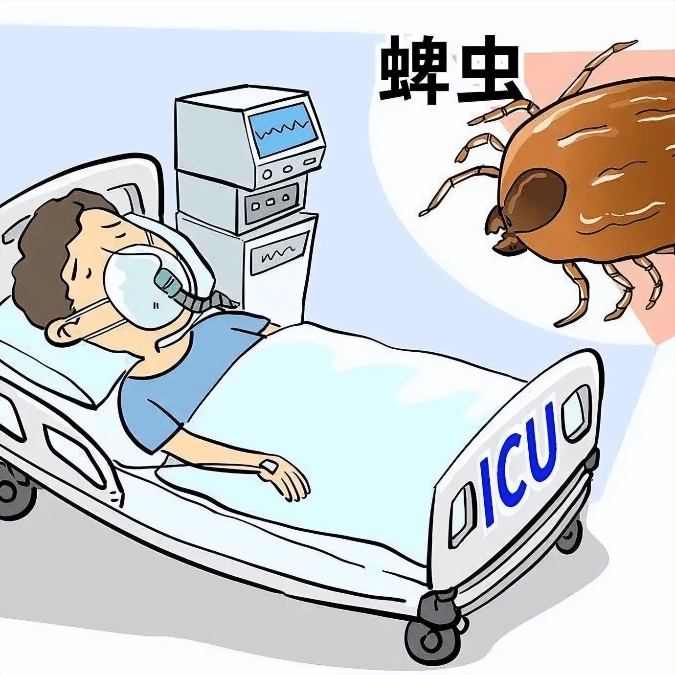 蜱虫活动高峰期预防措施_蜱虫叮咬危害及处理方法_季节性宠物寄生虫预防方案