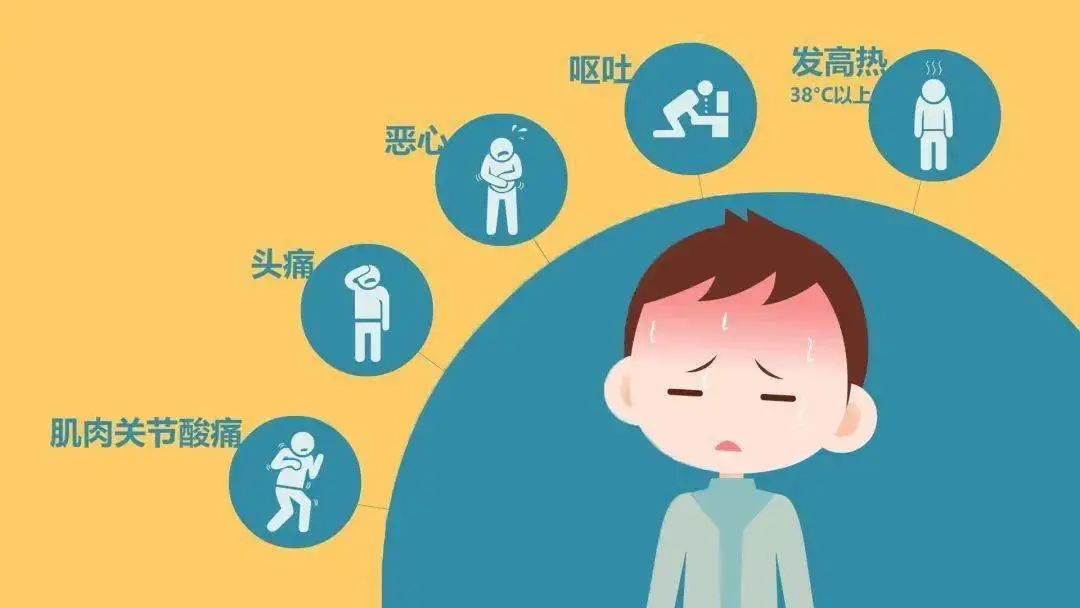 蜱虫活动高峰期预防措施_季节性宠物寄生虫预防方案_蜱虫叮咬危害及处理方法
