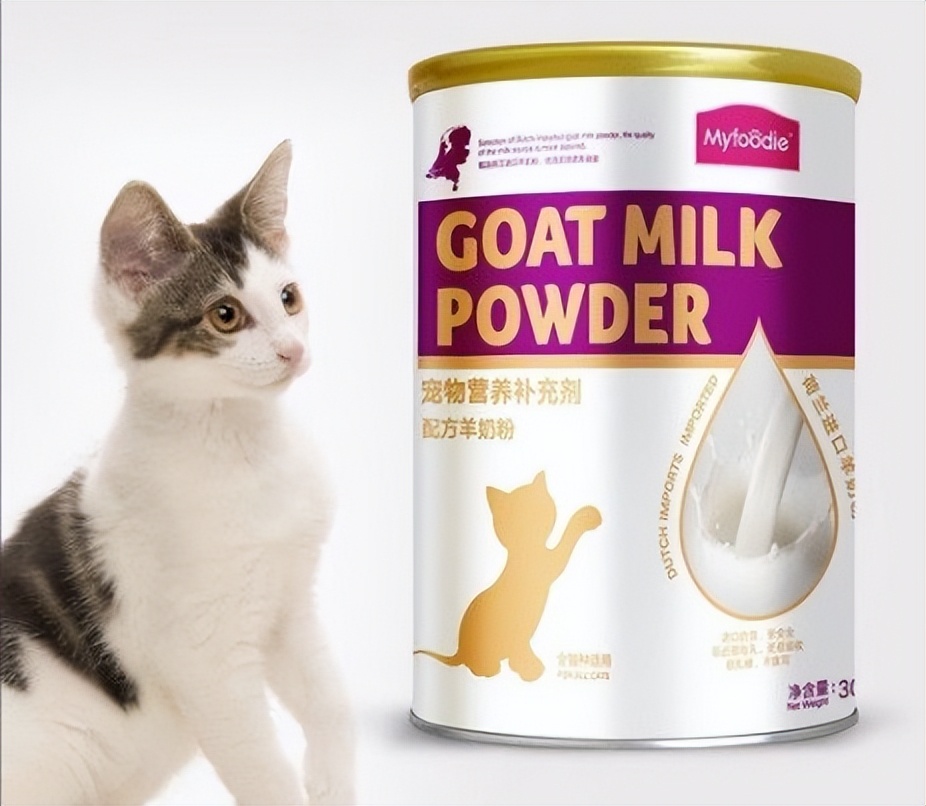 猫咪刷牙的循序渐进训练法_猫咪衰老症状_老年猫护理方法