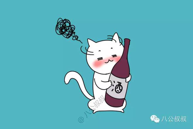 猫咪常见致命日用品_猫咪药物中毒：常见有毒物品清单_猫中毒物质危害
