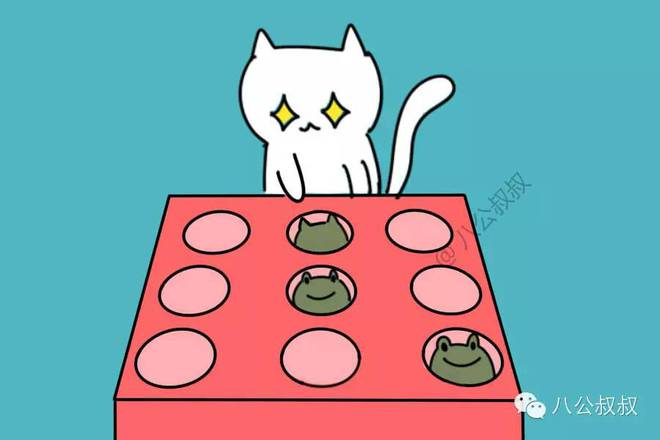 猫咪常见致命日用品_猫咪药物中毒：常见有毒物品清单_猫中毒物质危害
