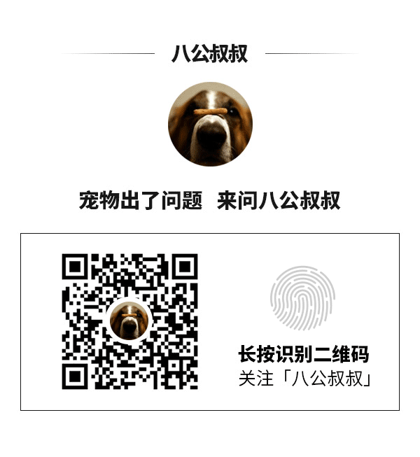 猫咪药物中毒：常见有毒物品清单_猫咪常见致命日用品_猫中毒物质危害