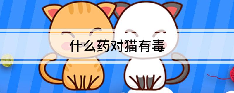 什么药对猫有毒-派特超人-宠物