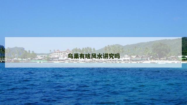 鸟巢有啥风水讲究吗-派特超人-宠物