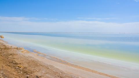 出轨对家里风水有影响吗 家里有手铐影响风水吗-派特超人-宠物