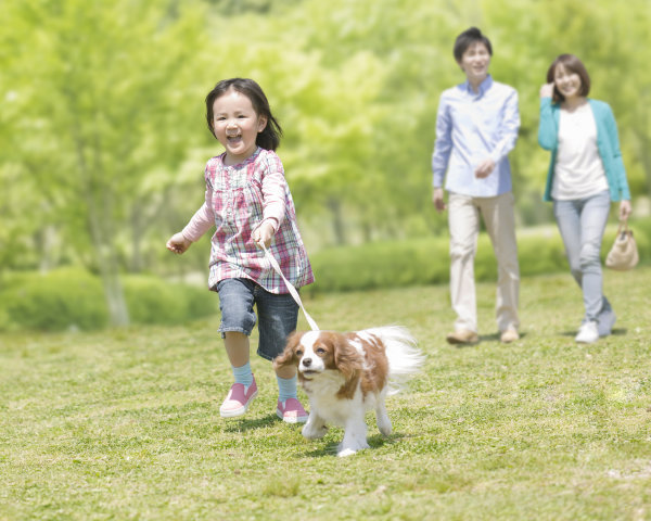 梅雨时节将至，教你这样“脱敏”，花草、空调、宠物都是过敏症“隐形杀手”-派特超人-宠物