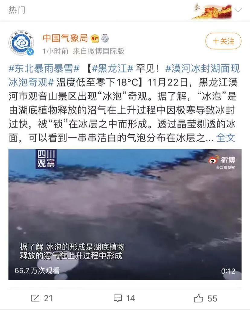 狗狗喜欢趴地板？降温需求和腹痛_雪地狗狗开荒_狗狗下雪兴奋原因