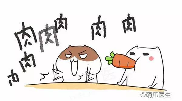 猫咪刷牙的循序渐进训练法_猫咪干粮湿粮选择标准_干粮湿粮营养对比