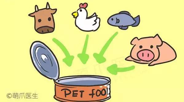 干粮湿粮营养对比_猫咪刷牙的循序渐进训练法_猫咪干粮湿粮选择标准