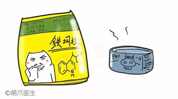 猫咪刷牙的循序渐进训练法_干粮湿粮营养对比_猫咪干粮湿粮选择标准