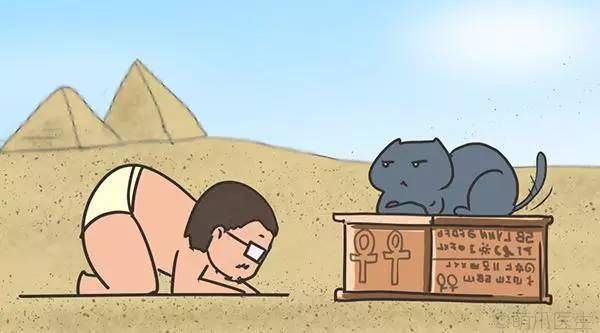 干粮湿粮营养对比_猫咪刷牙的循序渐进训练法_猫咪干粮湿粮选择标准