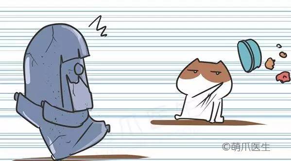 猫咪干粮湿粮选择标准_干粮湿粮营养对比_猫咪刷牙的循序渐进训练法