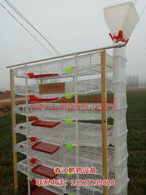 欢迎光临嘉祥县仲山乡春江鹌鹑设备加工厂官网！-派特超人-宠物