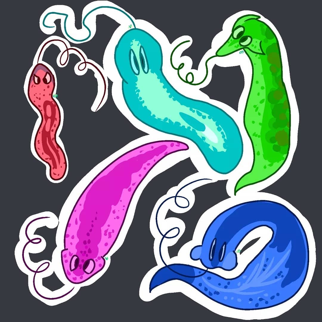 鱼缸中的夜行性杀手，涡虫，悄无声息的侵略你的宝贝鱼缸-派特超人-宠物