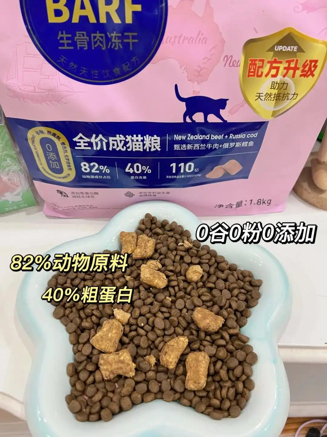 猫咪膝关节僵硬病因分析_麦富迪barf猫粮关节保护_猫咪多发性关节炎：僵硬步态诊断