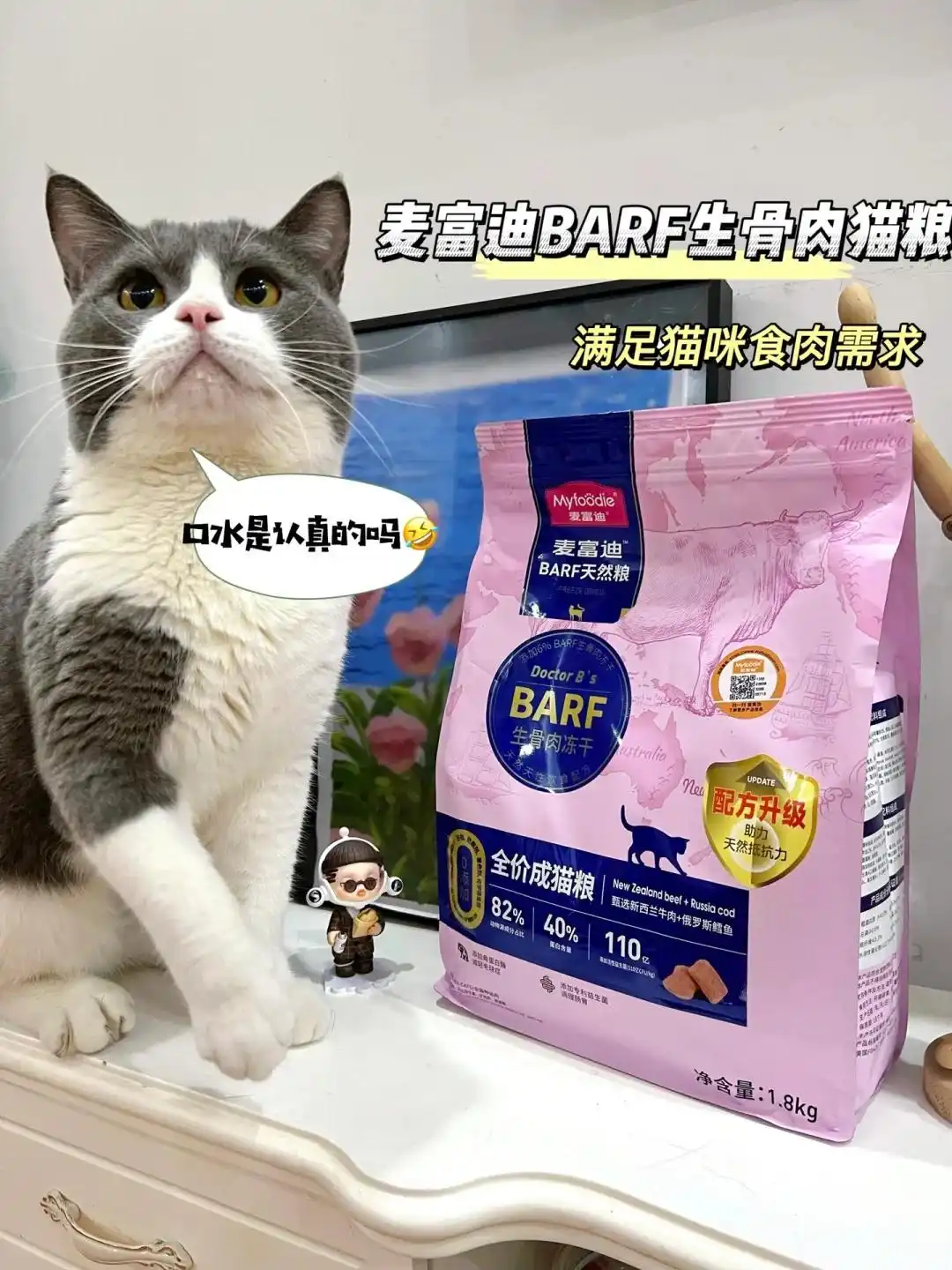 麦富迪barf猫粮关节保护_猫咪膝关节僵硬病因分析_猫咪多发性关节炎：僵硬步态诊断