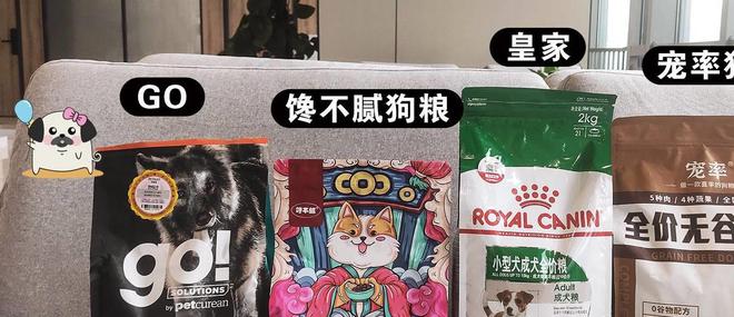 养狗省钱法_狗狗补钙方法_宠物美容师绝不会告诉你的省钱技巧