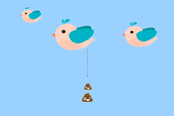 鸟类的消化系统与结构-派特超人-宠物