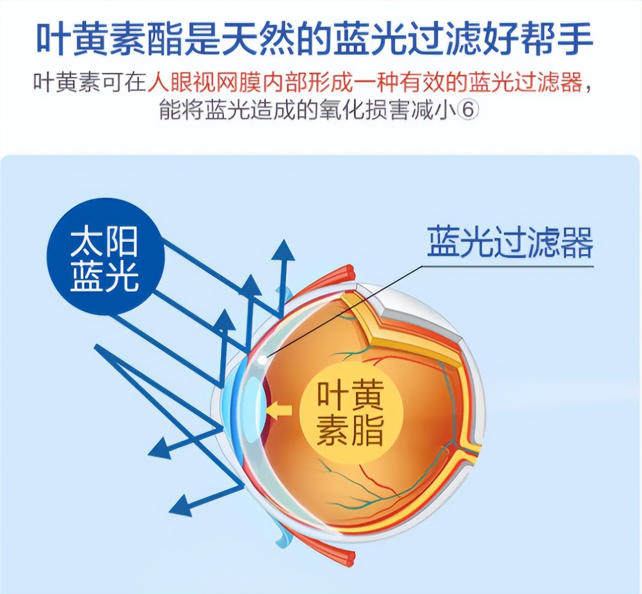 宠物保健品选择原则_狗狗眼屎发灰？干眼症和感染_狗狗叶黄素护眼