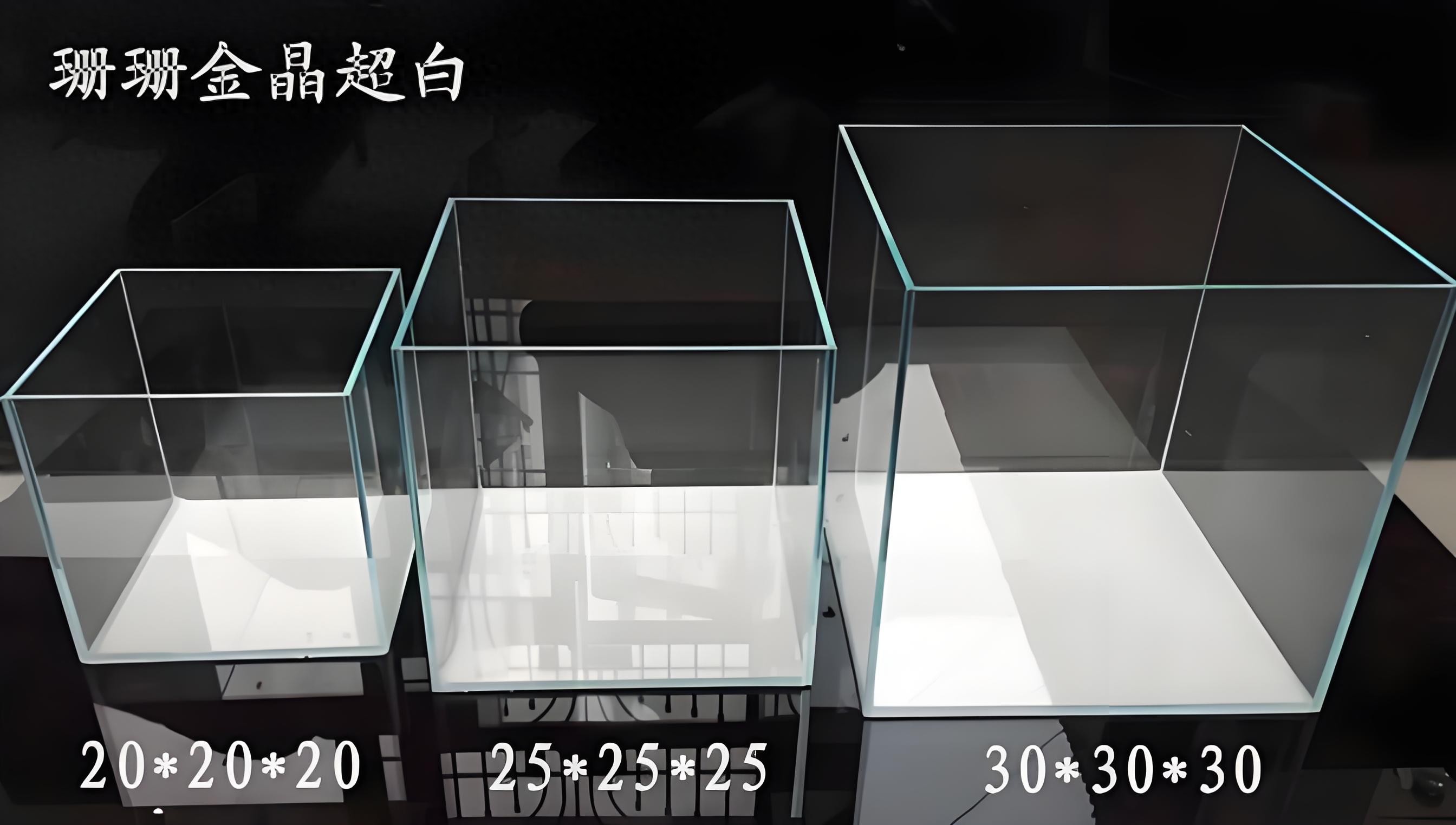 养鱼达人都在用的喂食技巧_养鱼技巧_科学养鱼方法