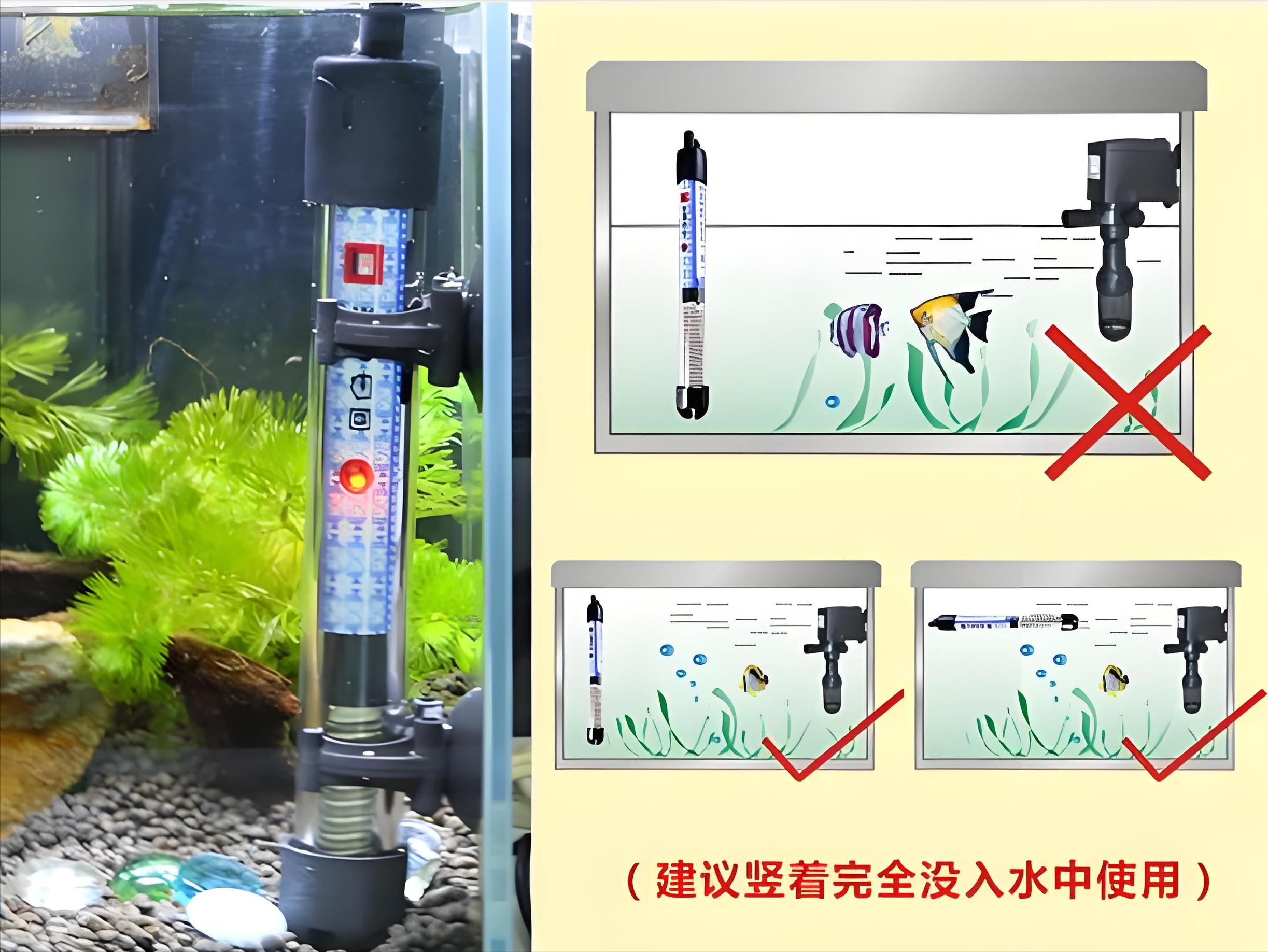 养鱼达人都在用的喂食技巧_养鱼技巧_科学养鱼方法