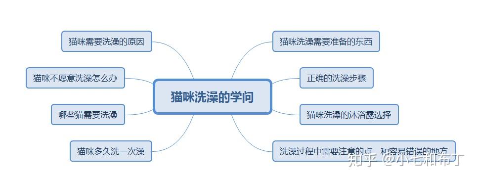 怎么给猫咪洗澡，多久洗一次，小猫多大可以洗，洗澡注意事项等，你要的这篇文章都有-派特超人-宠物