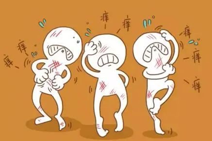 荨麻疹过敏原因_狗狗皮肤起疙瘩？荨麻疹和虫咬反应_荨麻疹中医治疗方法